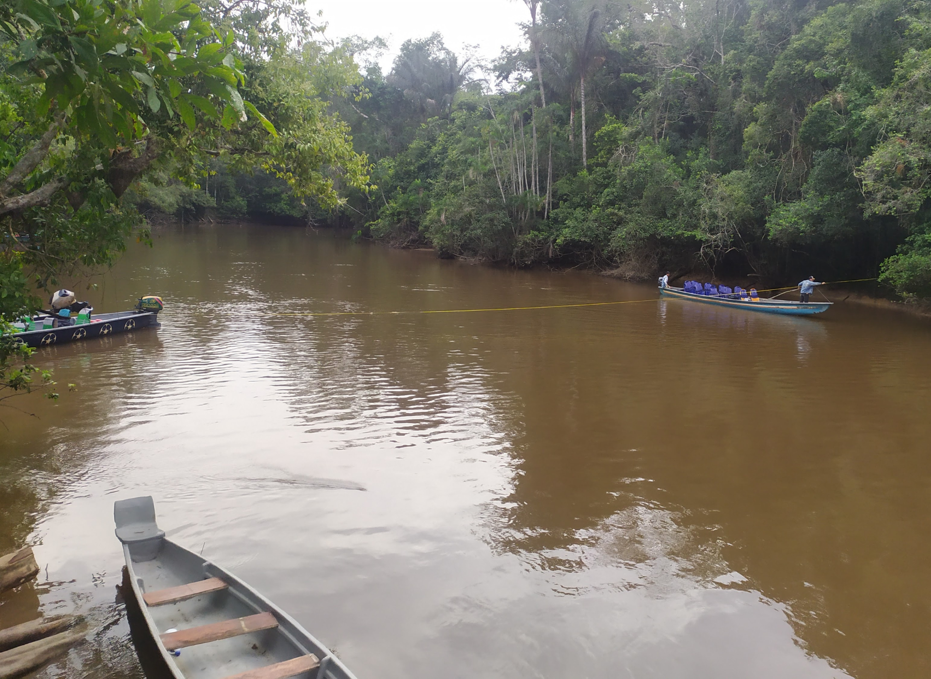Catedra Unesco Manejo de Aguas Dulces Tropicales (12)