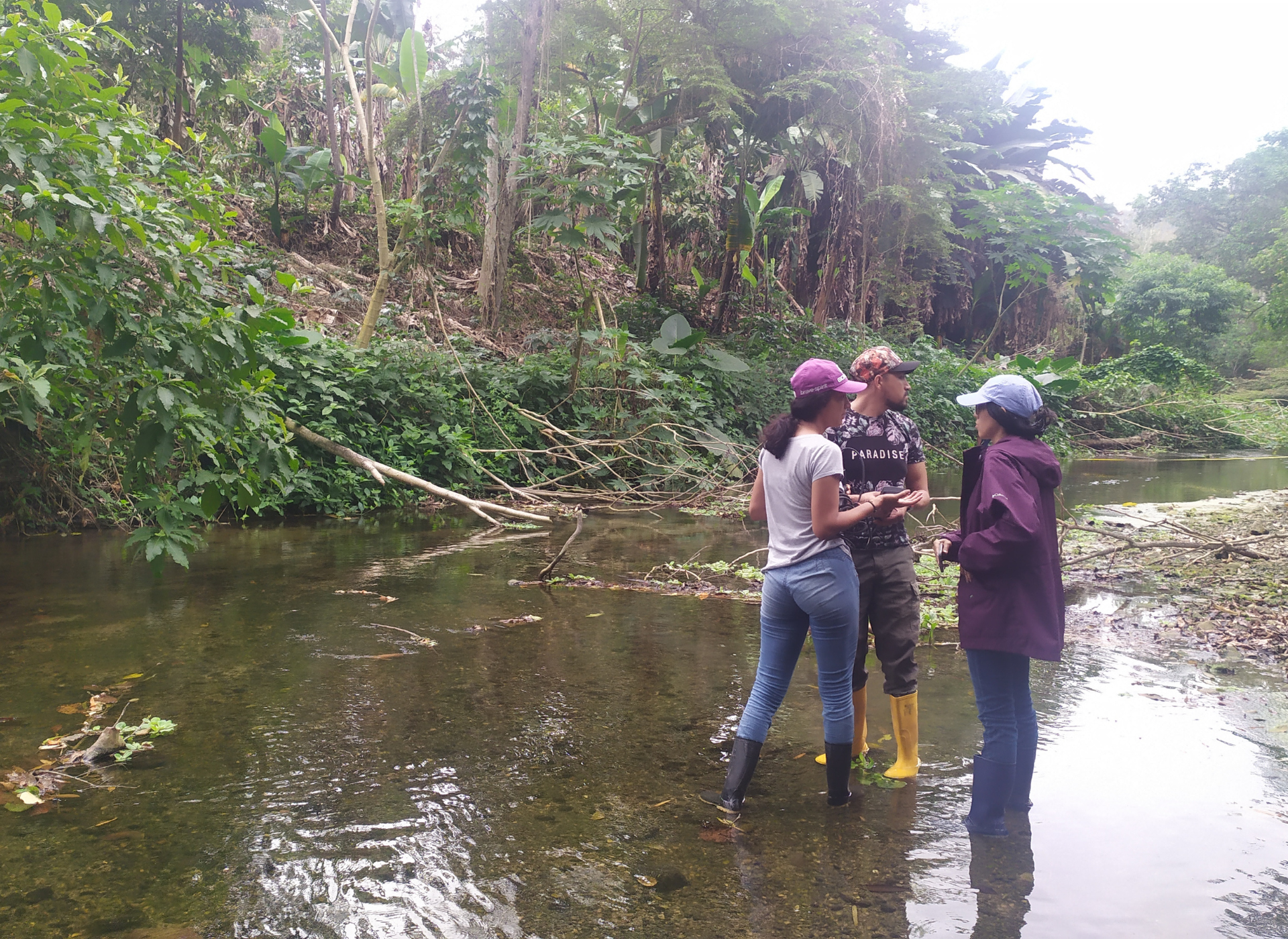 Catedra Unesco Manejo de Aguas Dulces Tropicales (7)